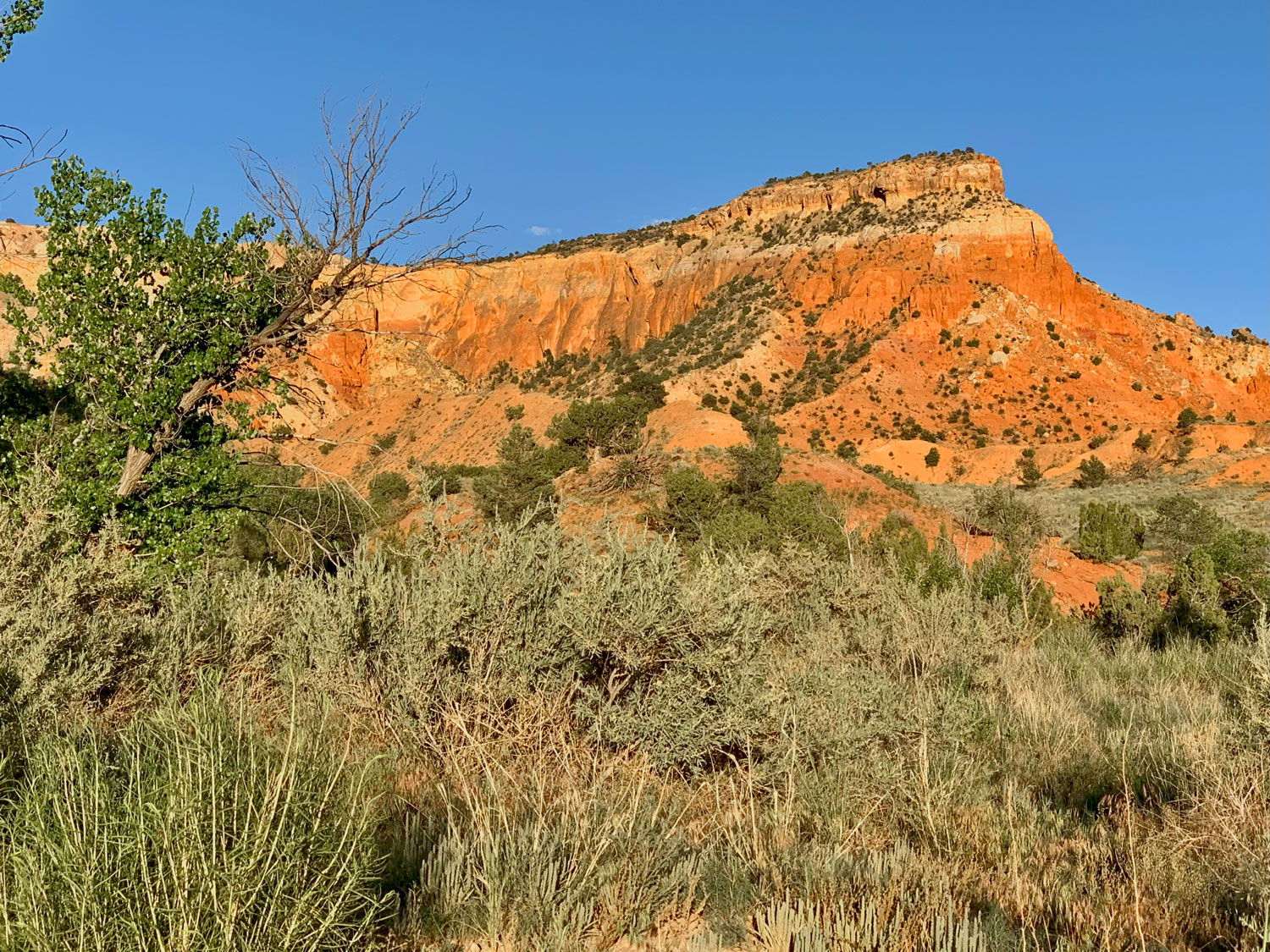rock formation at Ghost Ranch in New Mexico