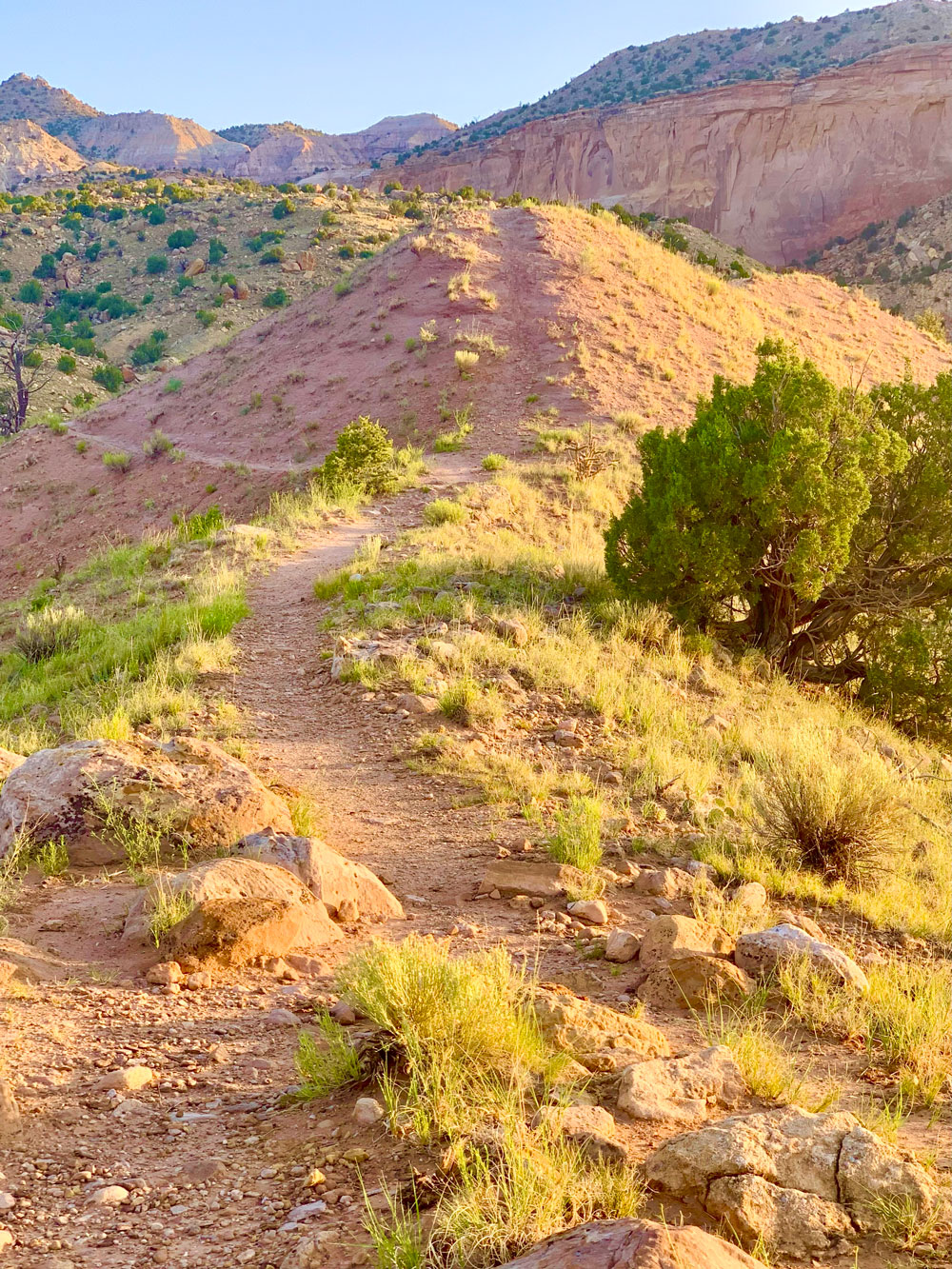 a winding path through Ghost Ranch in New Mexico