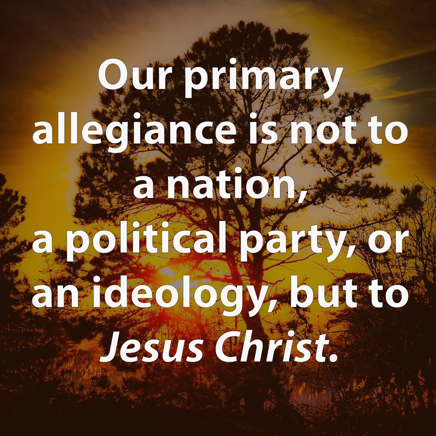 Pull out quote on image of tree with sunrise/sunset in background: Our primary allegiance is not to...